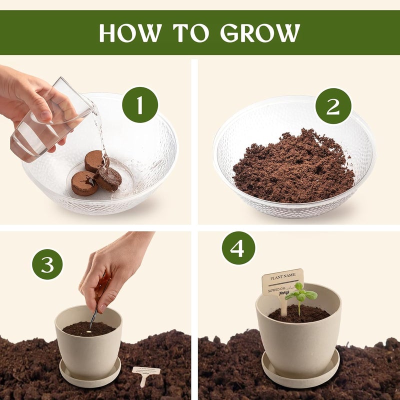 AVERGO Bonsai Starter Kit – Growing Jacaranda Bonzai Tree | Complete Indoor Tree Kit for Growing Plants with Tools & Planter – Gardening Gifts for Mother, Women & Men - Image 3